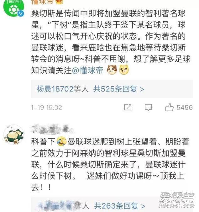 鹿晗下树了是什么意思 桑切斯下树了是什么梗