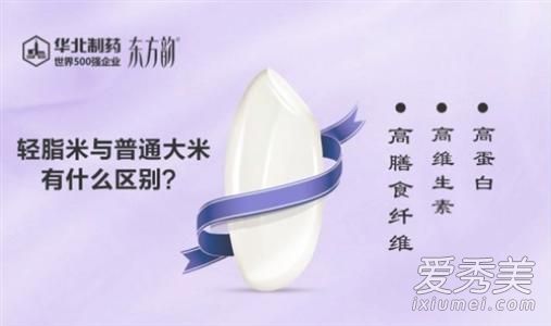 �����ϼ��ʴ��׶���Ǯ �����ϼ��ʴ��׹�����ʲô