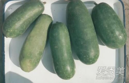 �ڹ������Ի������� �ڹϵ�����