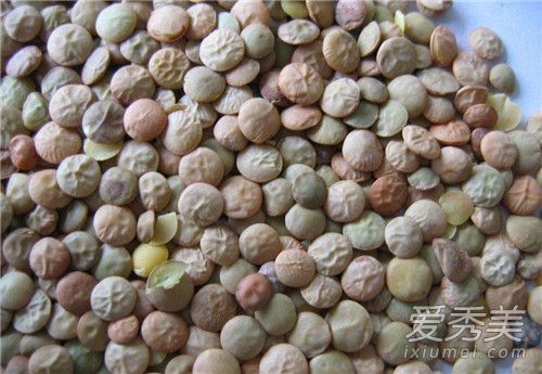 小扁豆的功效和禁忌 小扁豆煮粥的做法