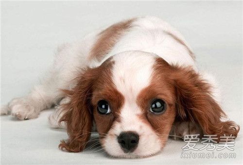 ����������ʲô���� �����������Ըϳ�ȥ��