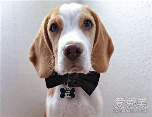 ����������ʲô���� �����������Ըϳ�ȥ��