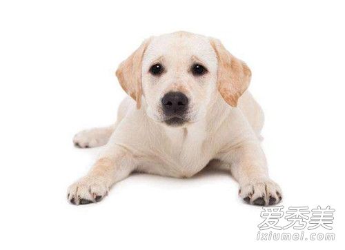 ����������ʲô���� �����������Ըϳ�ȥ��