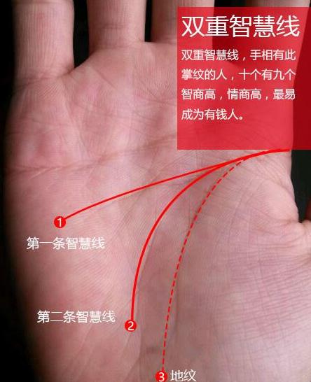 手上有斗代表什么意思 手相上有这几个斗的是富贵命