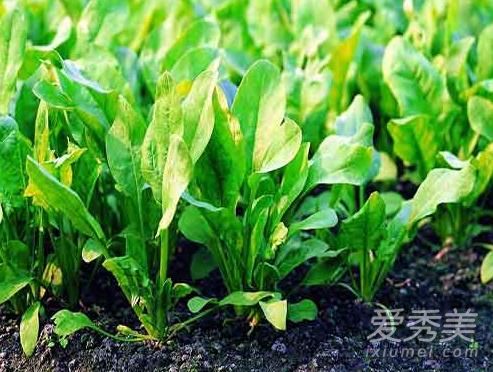 ����С����2���Ч ������������������