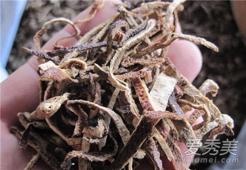 陈皮是橙子皮还是橘子皮 陈皮是热性还是凉性