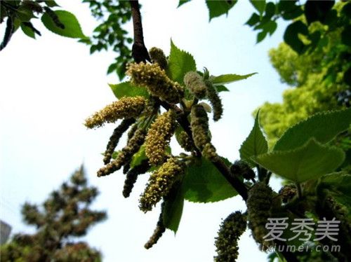 �������������� ���Թ������Ĺ�Ч