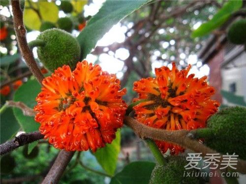 �������������� ���Թ������Ĺ�Ч