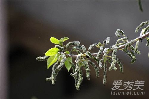 �������������� ���Թ������Ĺ�Ч