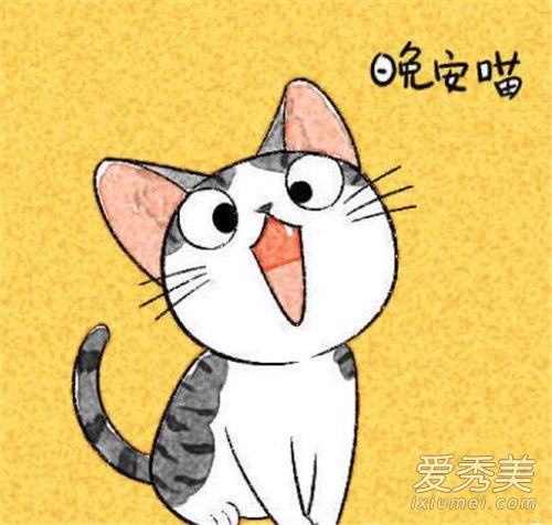 �����簲���簲��������ʲô�� �簲���簲���������������������