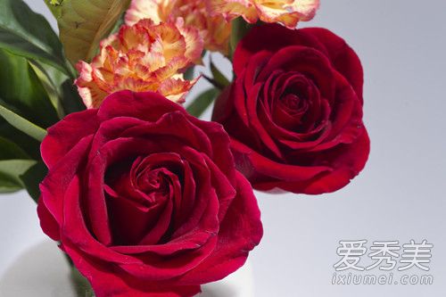 ��������99��õ�廨��ʲô�� ��������99��õ�廨������ʲô˭����