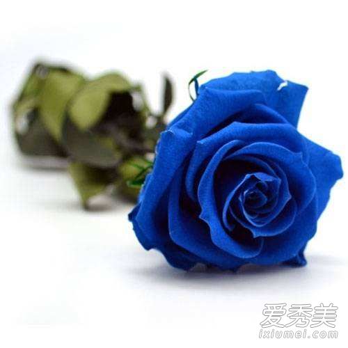 我要送你99朵玫瑰花是什么歌 我要送你99朵玫瑰花表情包