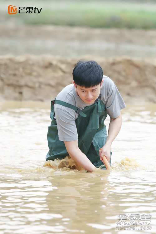 ����������ڶ���Ϊʲôͣ�� ����������2ͣ��ԭ��