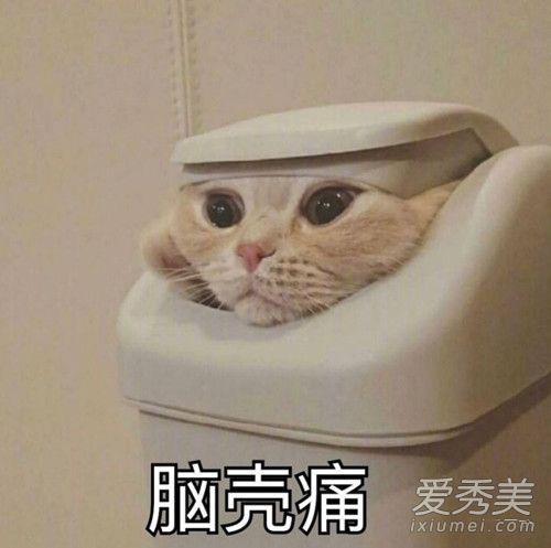 101Խ΢ʲô ۴101Խ