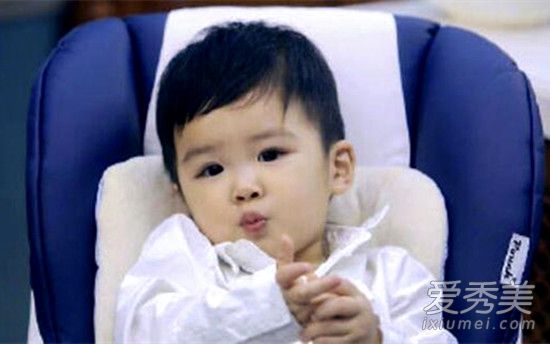 ���ӻ�ʥ����̥���ӽ�ʲô���� ���ӻ�ʥ����̥������Ƭ����