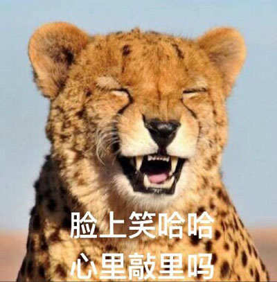 ʲô˼ ʲô