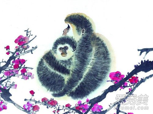 ������2019��ÿ�������� ����2019��ÿ�����Ƽ��˳�