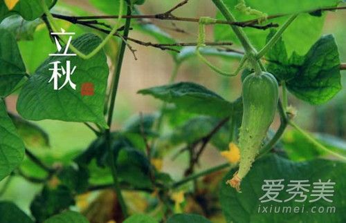 关于立秋的诗句 立秋诗句大全2018