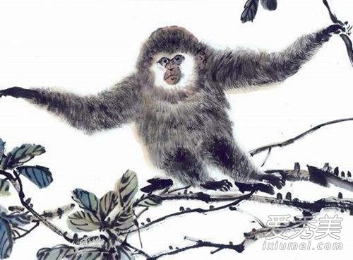 ������2019�������˳� ������2019��ÿ������