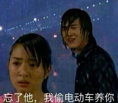 我偷电瓶车养你什么梗 我偷电瓶车养你表情包