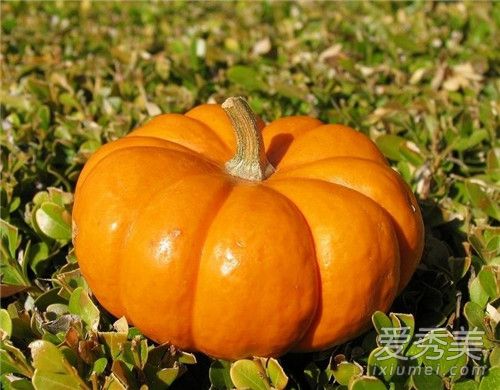 �ϹϿ��Լ����� �Ϲϼ���ʳ��һ����10��