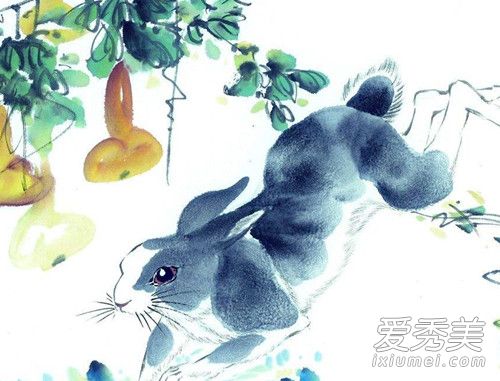 男兔女羊的婚姻怎么样 男兔女羊婚姻相配好吗