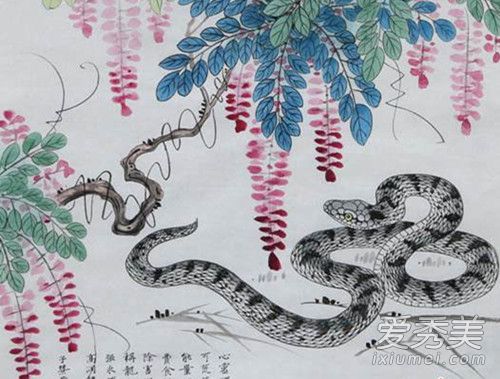 1977�����ߵ���2019�������˳�