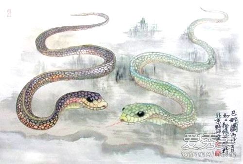 1977�����ߵ���2019�������˳�