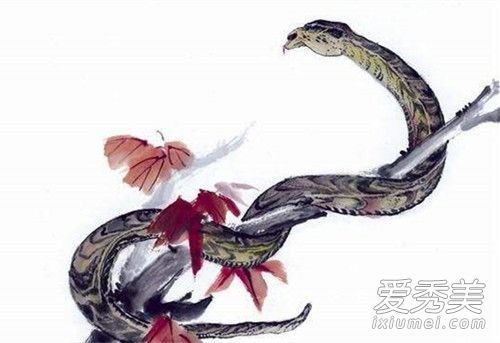 1977�����ߵ���2019�������˳�