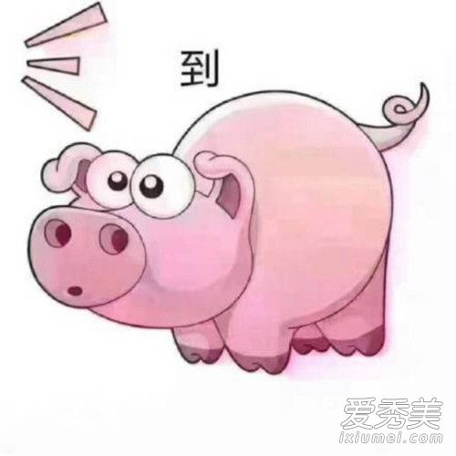 猪精男孩是什么意思 猪精男孩表情包大全