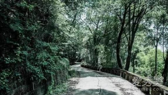 ʵ̽�ɶ����ط���ҽԺ ����ҽԺ��������ֲ�Ƭ�ֳ�