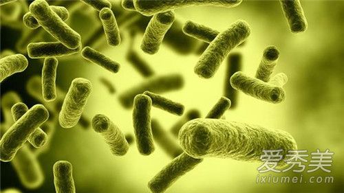 寨卡病毒是什么 寨卡病毒症状