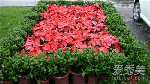 һƷ���ж��� һƷ���ܷ�������