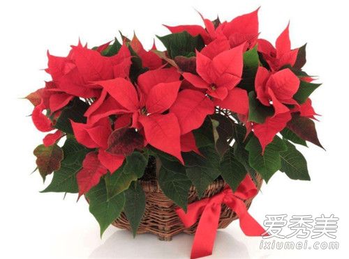 һƷ���ж��� һƷ���ܷ�������