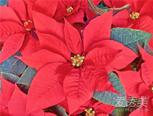 һƷ���ж��� һƷ���ܷ�������