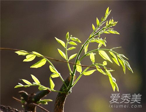 2019Ǽ¼ż㼸 2019һ