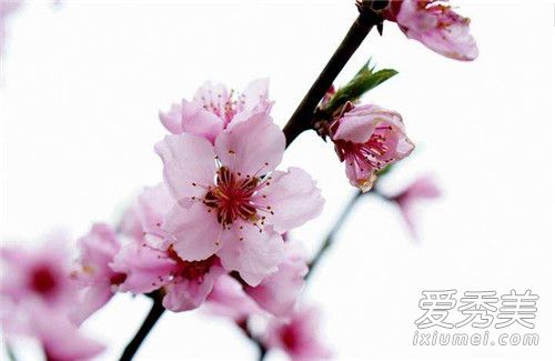 2019Ǽ¼ż㼸 2019һ
