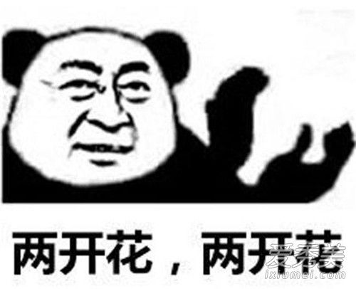 文体两开花是什么梗 文体两开花出处