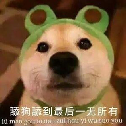 ǧ�ﶥ��ʲô��˼ʲô�� ����ǧ�ﶥ��ʲô��˼