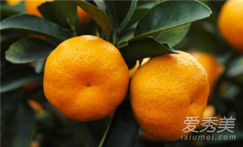 椪柑吃多了会上火吗 椪柑一天可以吃几个
