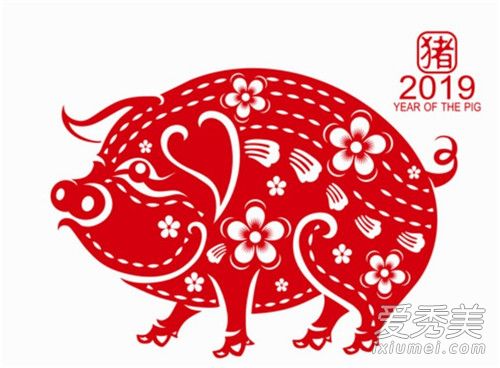 �������к��໹��Ů����2019 �������к�����·�