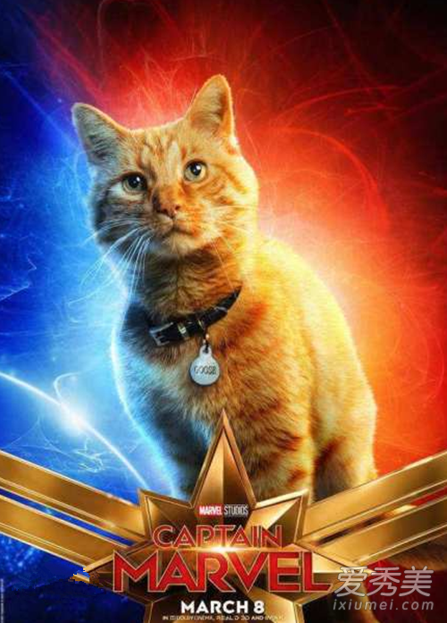 ����ӳ���Ԫ����ʲô ��Ԫ��ʲô��