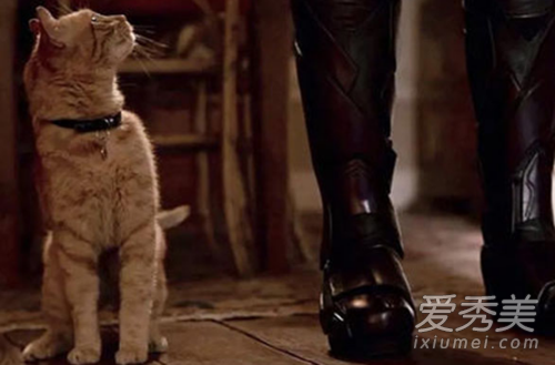 ����ӳ���Ԫ����ʲô ��Ԫ��ʲô��