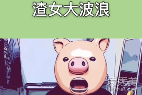 ����������ֽ����Ů�����̲蹫������ʲô��˼ ������ֽ��ʲô��