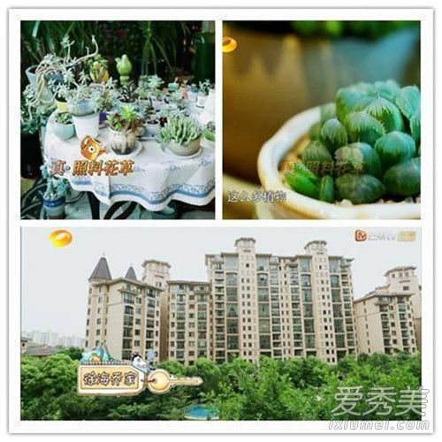 �캣�ǵĺ�լ������� ���캣�Ǹ���������