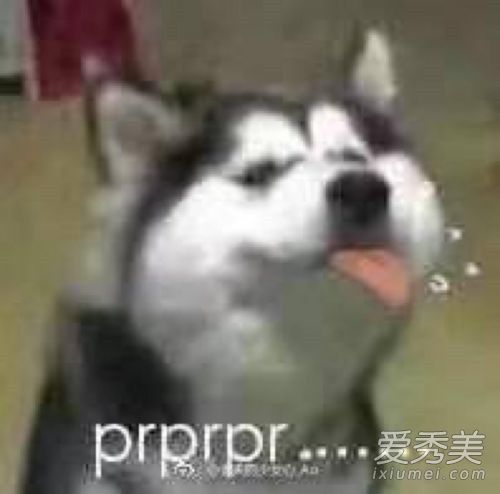 �������prprpr��ʲô��˼ prprprʲô��