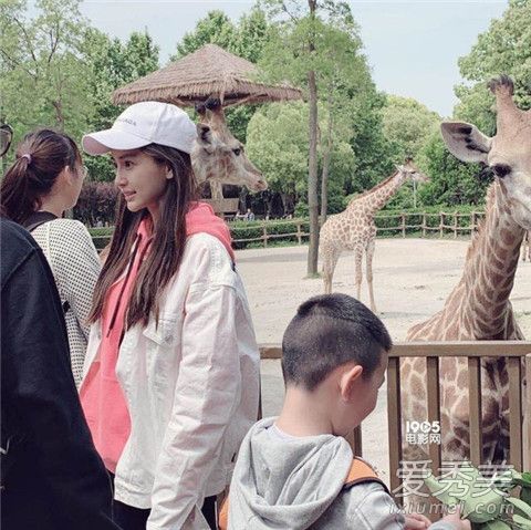 Baby�䶯��԰��ʲô��� Baby������䶯��԰