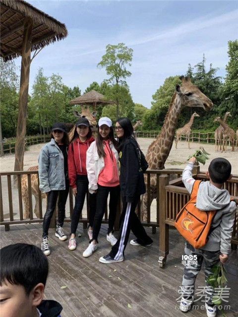 Baby�䶯��԰��ʲô��� Baby������䶯��԰