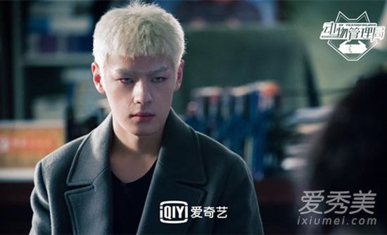 动物管理局王子文是什么动物 动物管理局王子文身份是什么