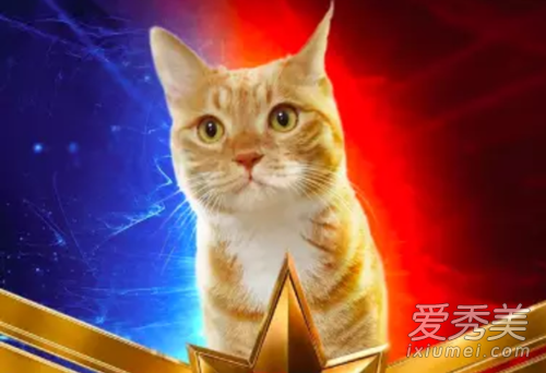 ��Ԫ����ʲô�� ��Ԫ����ʲôè